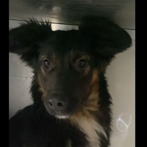 Mateo