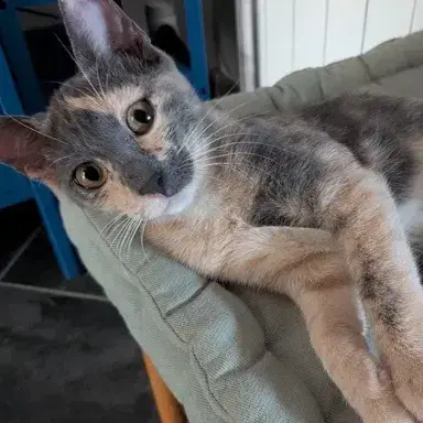 Babeth