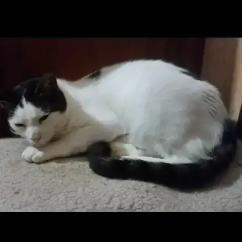 Valentin