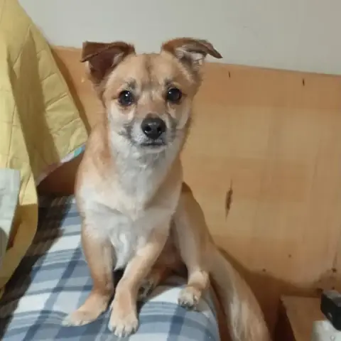Eros