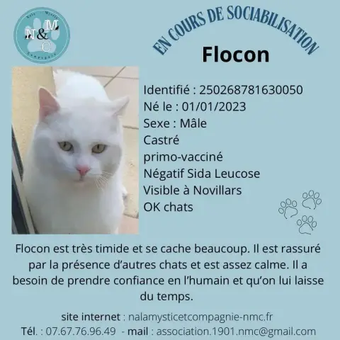Flocon