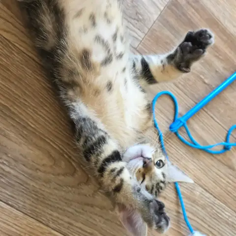 Néo photo 2