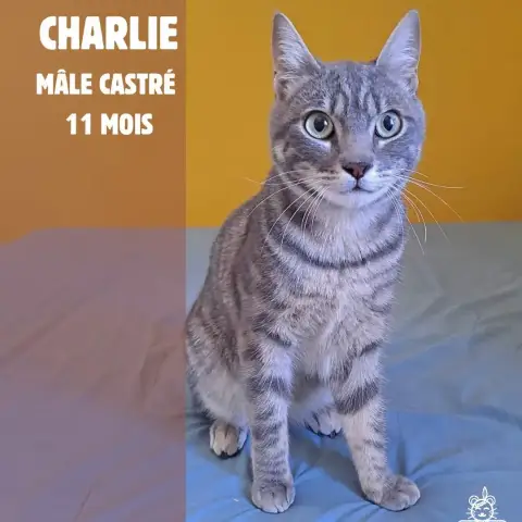 Charlie