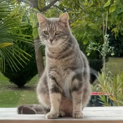 Rio