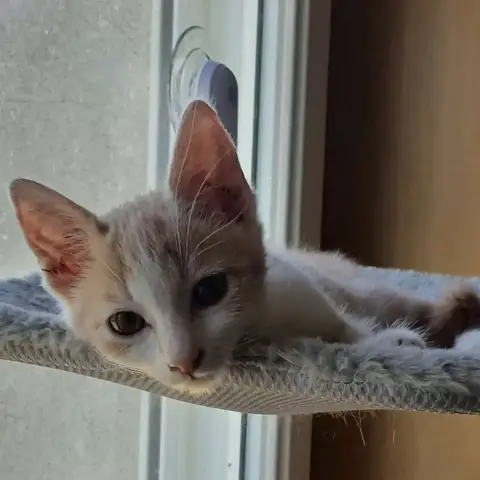 Charlie