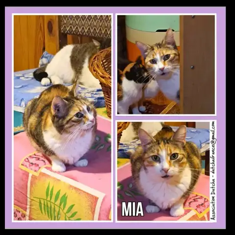 Mia
