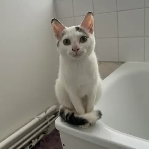 Arlo photo 2