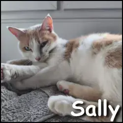 Sally
