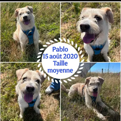 Pablo