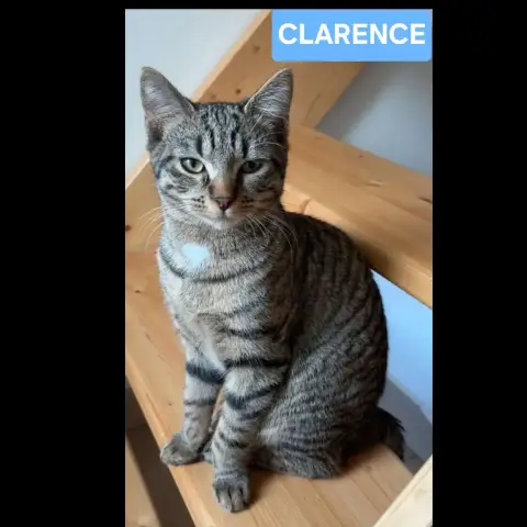 Clarence