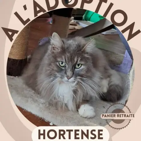 Hortense