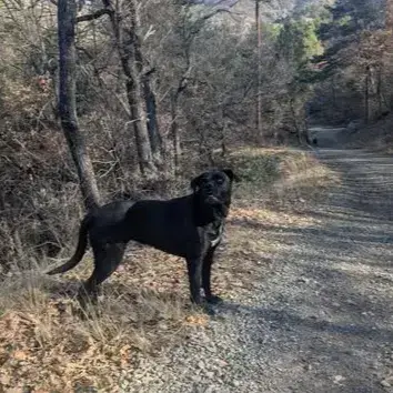 Sam photo 3