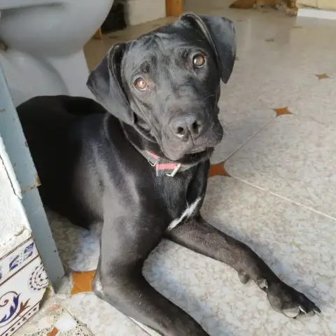Zeus