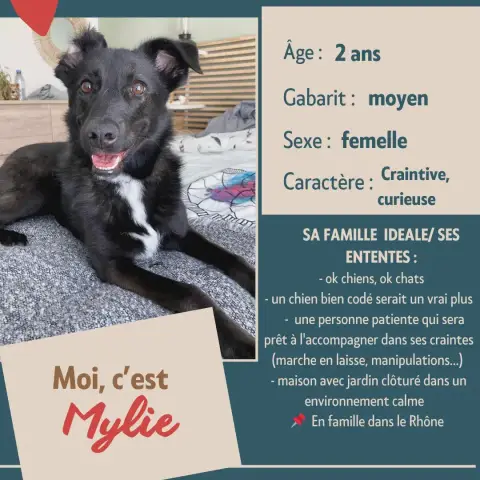 Mylie