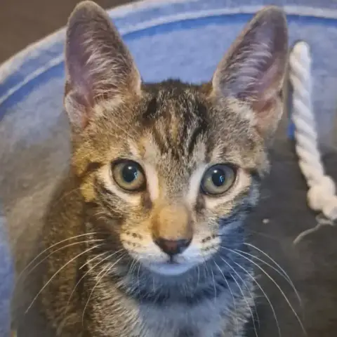 Luna