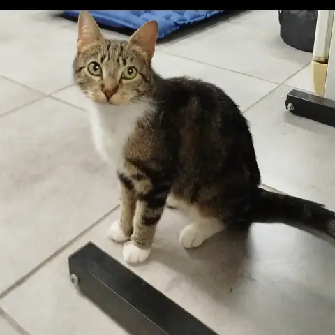 Luna