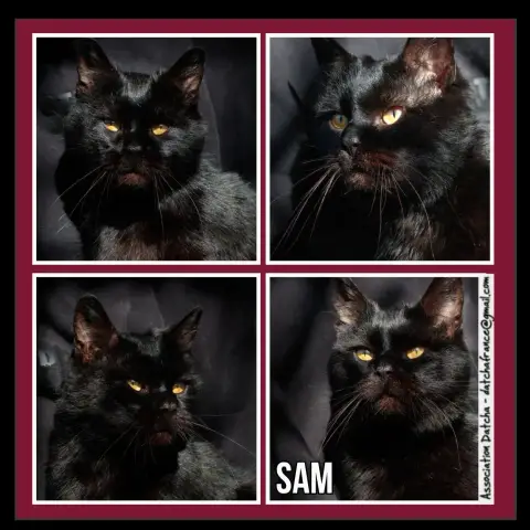 Sam