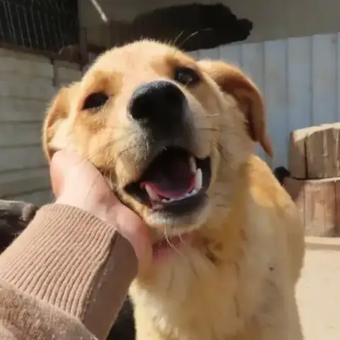 Donno