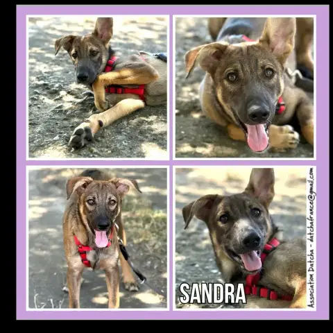 Sandra