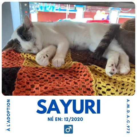 Sayuri