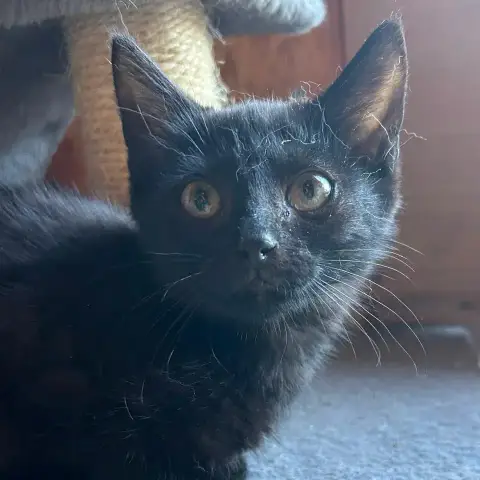 Bill