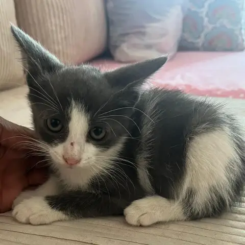 Boo photo 2