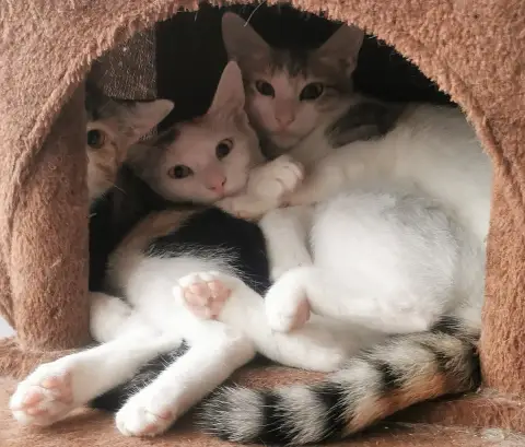 Yuki & Kaito photo 2