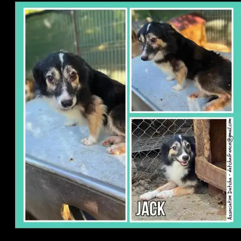 Jack