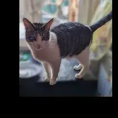 Bernard