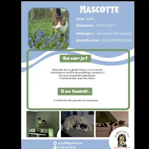 Mascotte