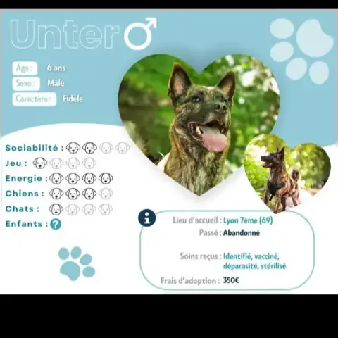 Unter