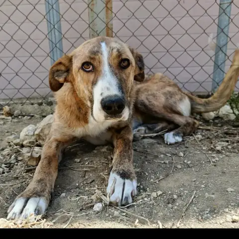 Fiona photo 2