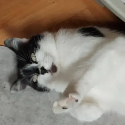Marie
