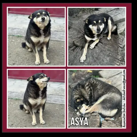 Asya