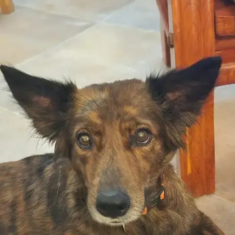 Zelda photo 3