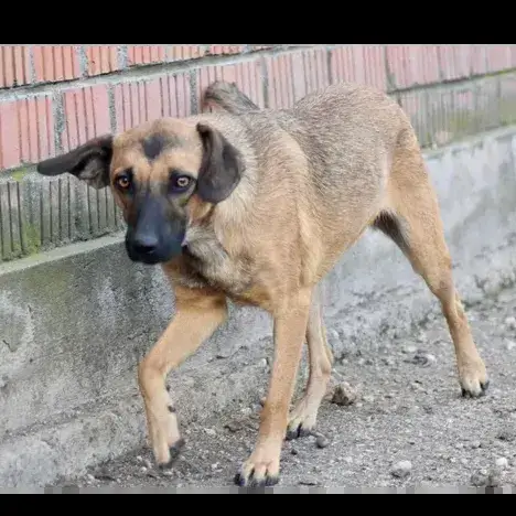 Baya photo 3