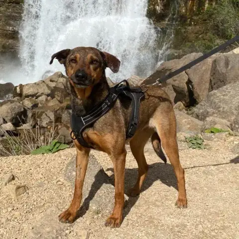 Fifi photo 3