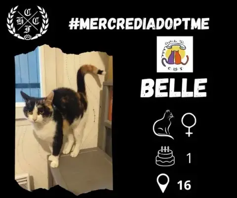 Belle
