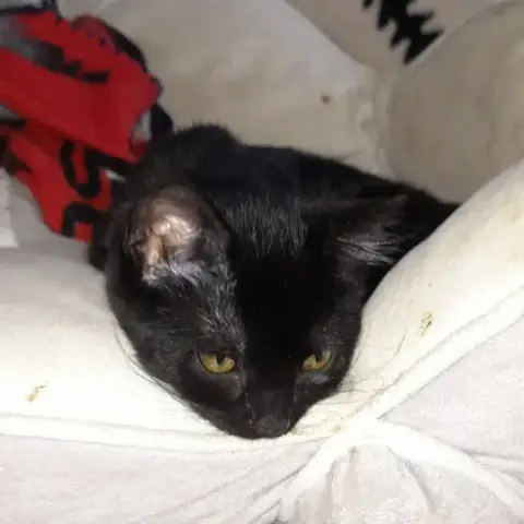 Booba photo 2