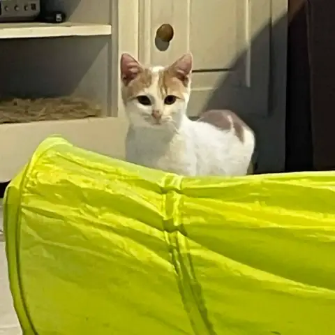 Caramel