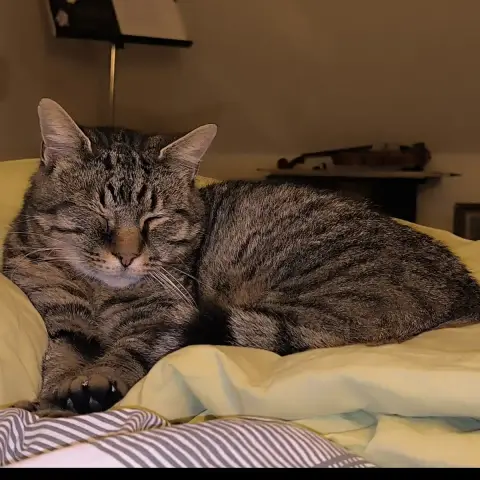 Bibi photo 2