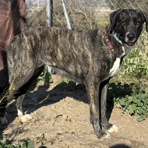 Maggie photo 2