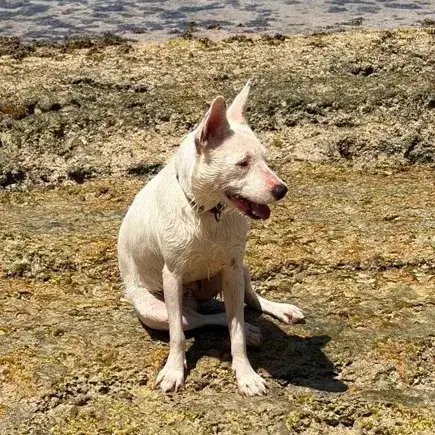 Lola photo 2