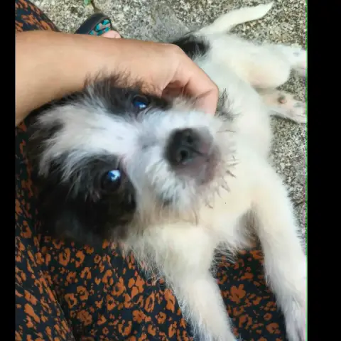 Moufia photo 2