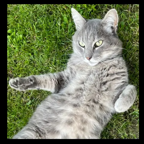 George photo 3