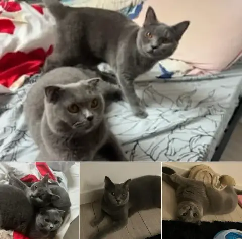 Mila Et Sila photo 2