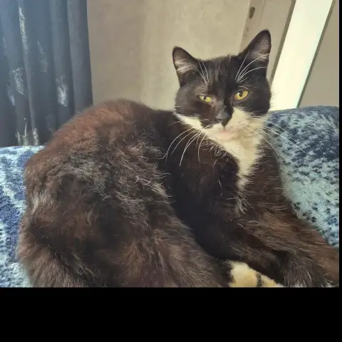 Duo photo 3