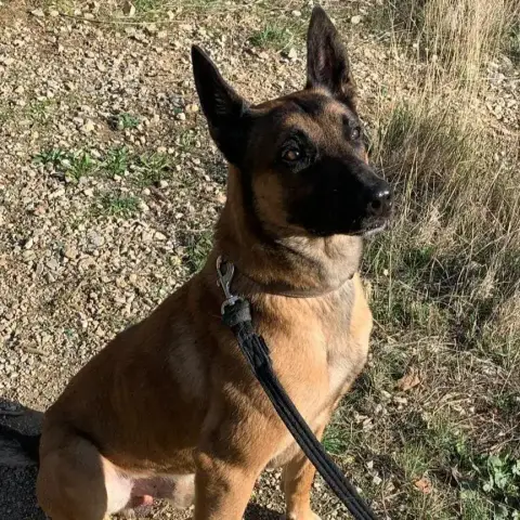Narco