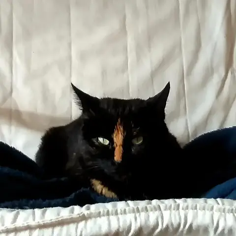 Luna photo 2