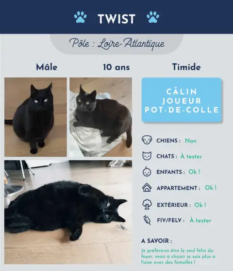 Twist